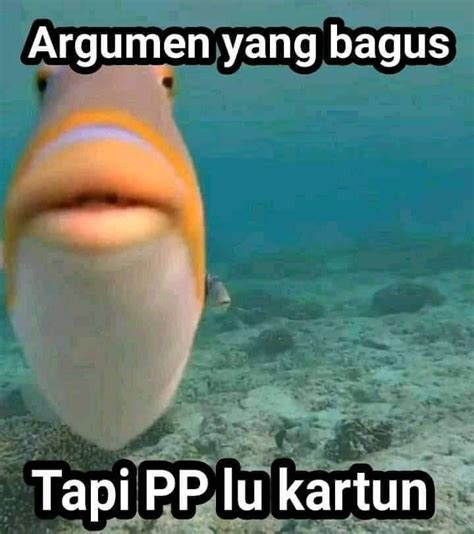 Pin Oleh Aan Imanullah Di MEME Gambar Reaksi Lucu Humor Lucu Meme