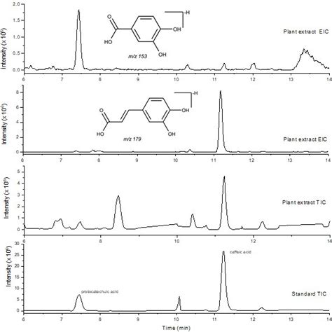 Protocatechuic acid and caffeic acid from the aqueous-methanolic... | Download Scientific Diagram