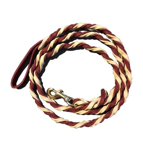 Custom Braided Leather Leash - Pet Play Products