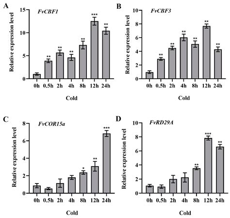 Ijms Free Full Text Genome Wide Characterization And Expression