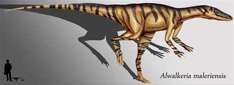 Triassic Dinosaurs List with Pictures & Facts: Triassic Period Dinos