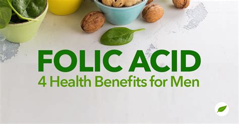 Folic Acid For Men 4 Healthy Benefits You Should Know