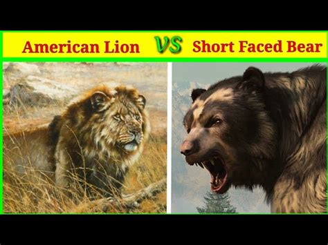 Short Faced Bear Vs Mega Lion