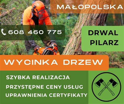 Archiwalne Wycinanie przycinanie drzew wycinka drwal arborysta Tarnów