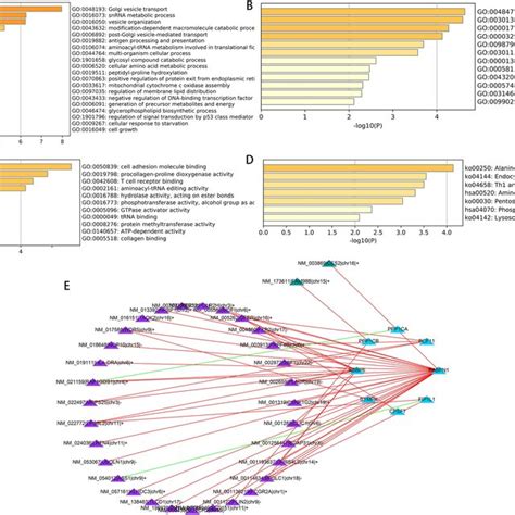 Enrichment Analysis Of The Corresponding Genes Of Prognosis Related Apa