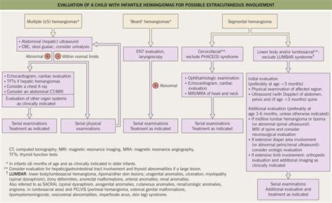 Infantile Hemangiomas And Vascular Malformations Clinical Gate