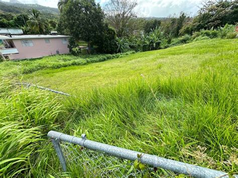 Bo Guzman Abajo Terreno En Rio Grande