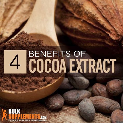 Cocoa Extract: Benefits, Side Effects & Dosage