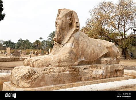 The Alabaster Sphinx In Memphis Egypt Stock Photo Alamy