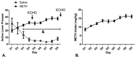 Figure From The Emergence Of Cardiac Changes Following The Self