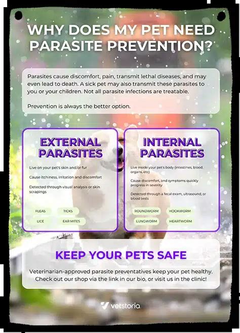 Parasite Prevention - Vetstoria Content Packs