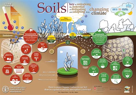 Fao Knowledge On Twitter Soils Key To Unlocking The Potential Of