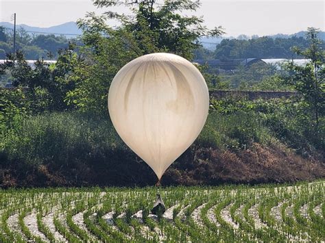 North Korea Vows To Pause Trash Balloon Campaign After Floating 3 500