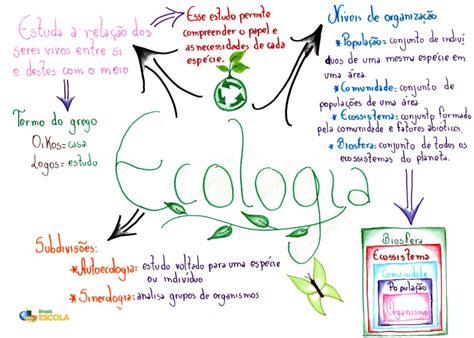 Ecologia [resumos E Mapas Mentais] Infinittus