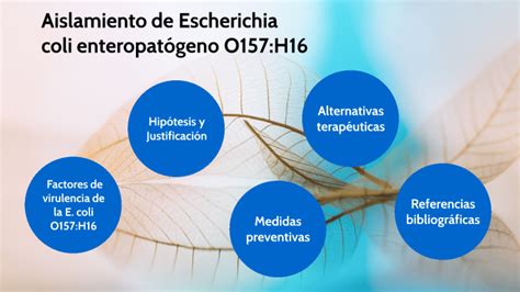 Aislamiento De Escherichia Coli Enteropat Geno O H By Dayassan Ramos