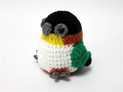 Ravelry Amigurumi Caique Parrot Pattern By Mevlinn Gusick