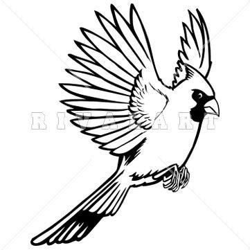 Best Cardinal Tattoo Outline Ideas Cardinal Tattoos Tattoo