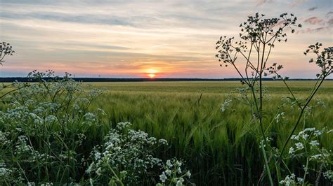 Naturerlebnis In Der Lewitz