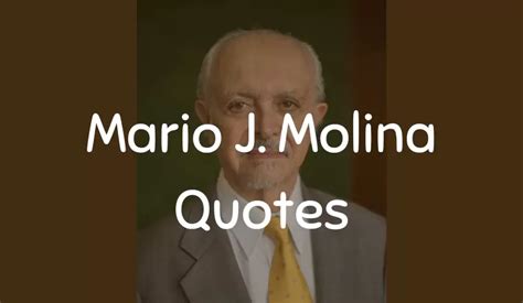 24 Most famous Inspiring Quotes by Mario Jose Molina | QnAClub