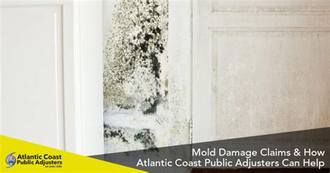 Claiming From Insurance For Mold Damage Can Be Tricky