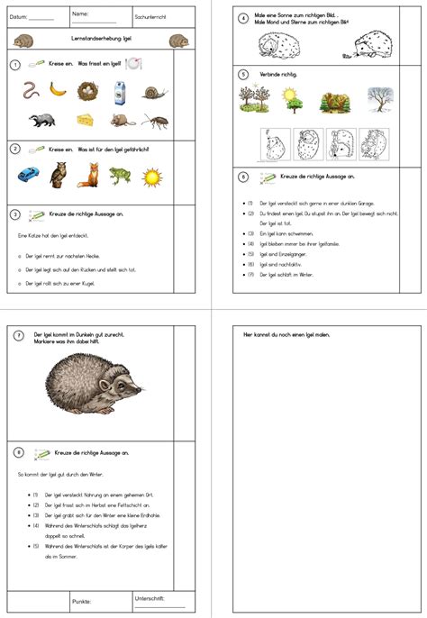 Lernstandserhebung Igel Klasse 1 2 Gpaed De