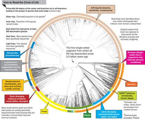 Evolution Of Glycan Diversity Essentials Of Glycobiology Ncbi Bookshelf