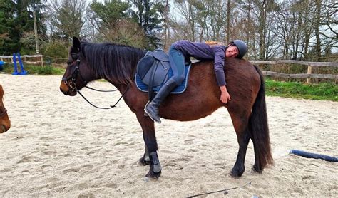 A Langoëlan le cheval est plus quun allié pour lhomme selon