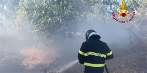 Decine Di Incendi Nel Palermitano Bruciano Sterpaglie E Rifiuti