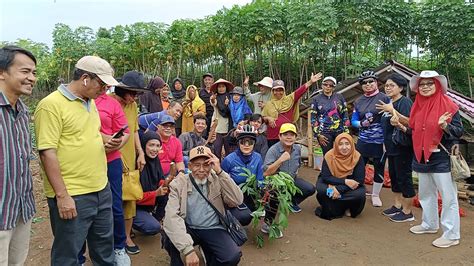 Kagama Lampung Kembali Peroleh Hasil Panen Singkong Melimpah Di Desa