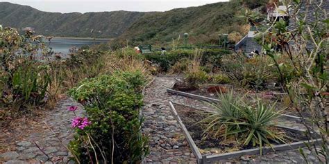 Cotacachi-Cayapas Ecological Reserve, Ecuador. Travel - PlanetAndes