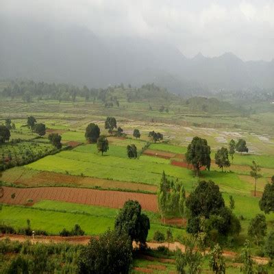 Araku Valley - History, Things to Do, Location, Best Time to Visit ...