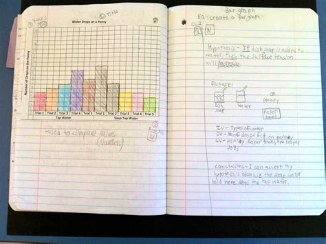 Graph For Science Project