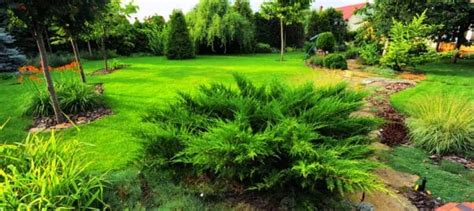 Native Plants Into Your Landscape: 5 Big Benefits