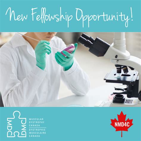 Past Neuromuscular Fellowship Funding Recipients - The Neuromuscular ...