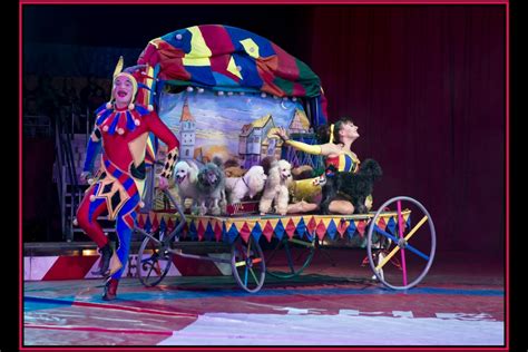 Travel circus in Florida. Circus performers for hire in Orlando