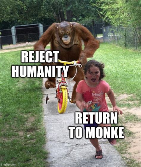 Orangutan Chasing Girl On A Tricycle Imgflip