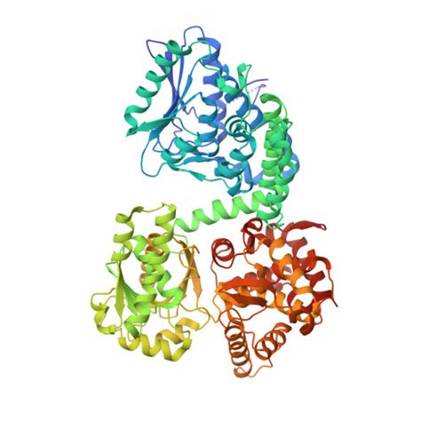 Rcsb Pdb Oqr Structure Of Mycobacterium Tuberculosis Beta Oxidation