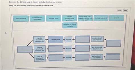 Solved Complete The Concept Map To Classity Joints By Chegg