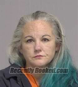 Recent Booking Mugshot For Megan Leigh Peters In Nassau County Florida