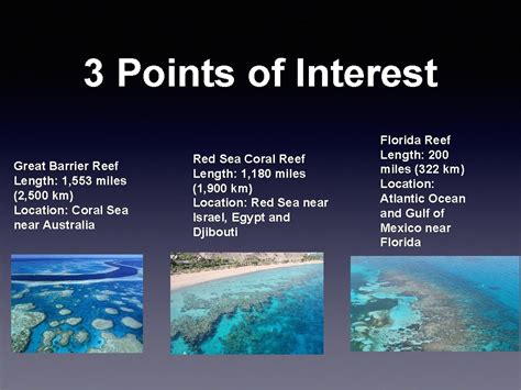 Coral Reef Locations New Caledonia Barrier Reef Length