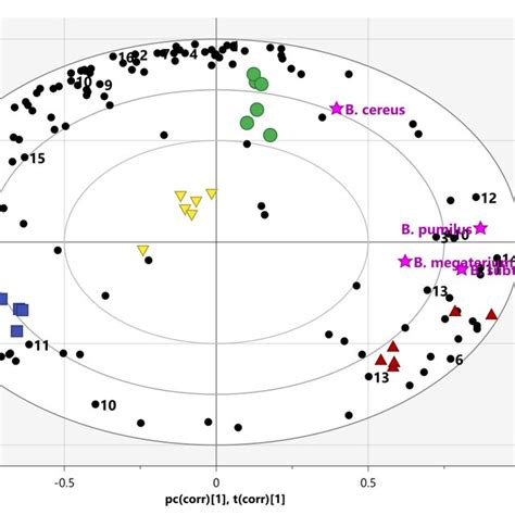 The Pls Biplot Describing The Correlation Among The Phytochemical Download Scientific Diagram