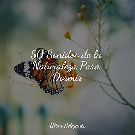 Play Sonidos De La Naturaleza Para Dormir By Medita O Maestro Yoga