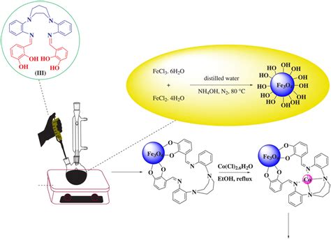 Synthesis Of Fe3o4coiimacrocyclic Schiff Base Ligand Download Scientific Diagram