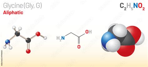 Glycine Gly G Amino Acid Molecule Chemical Formula C2H5NO2 Ball