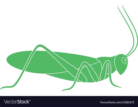 Grasshopper Royalty Free Vector Image - VectorStock