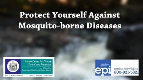 Protect Yourself From Mosquito Borne Diseases Youtube