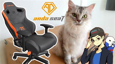 Cats Help Assemble Gaming Chair Anda Seat Fnatic Edition Premium