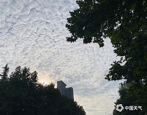 今起三天重庆阴天到多云为主 部分地区有阵雨出没 重庆首页 中国天气网