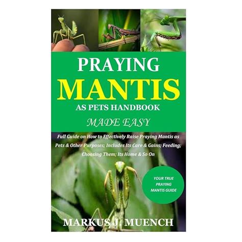 Buy Praying Mantis As Pets Handbook Made Easy Full Guide On How To