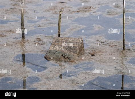 Les tombes des résidents qui se sont noyés ne laissent que des pierres